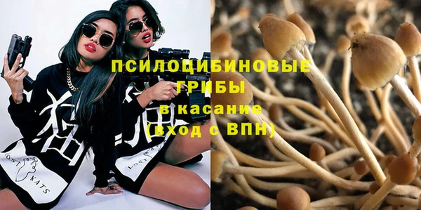 МДПВ Воткинск